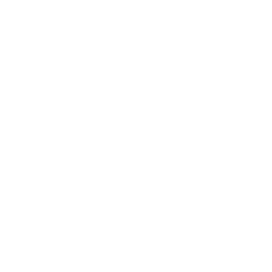 Shop Salon Icon